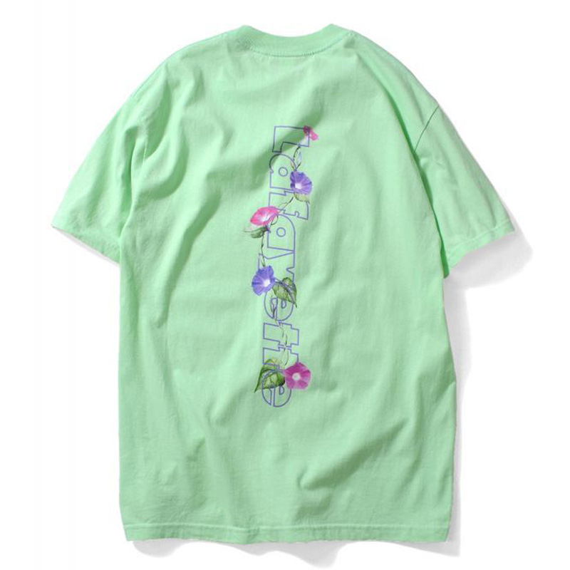 OUTLINE HUGE LOGO TEE - MORNING GLORY -（LAFAYETTE）